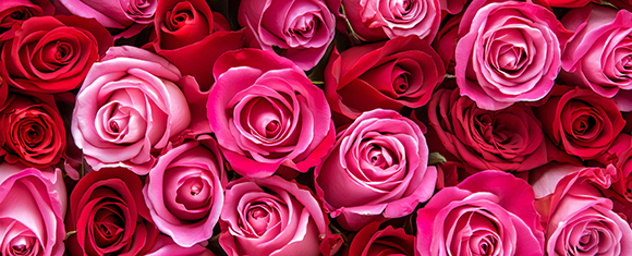 Su moters diena! Sveikiname visas „Rueda”  šokėjas!  :-)